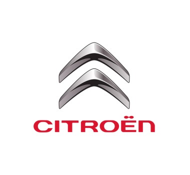 Citroen DS3 Red Bull Rally Car Garage PVC Banner